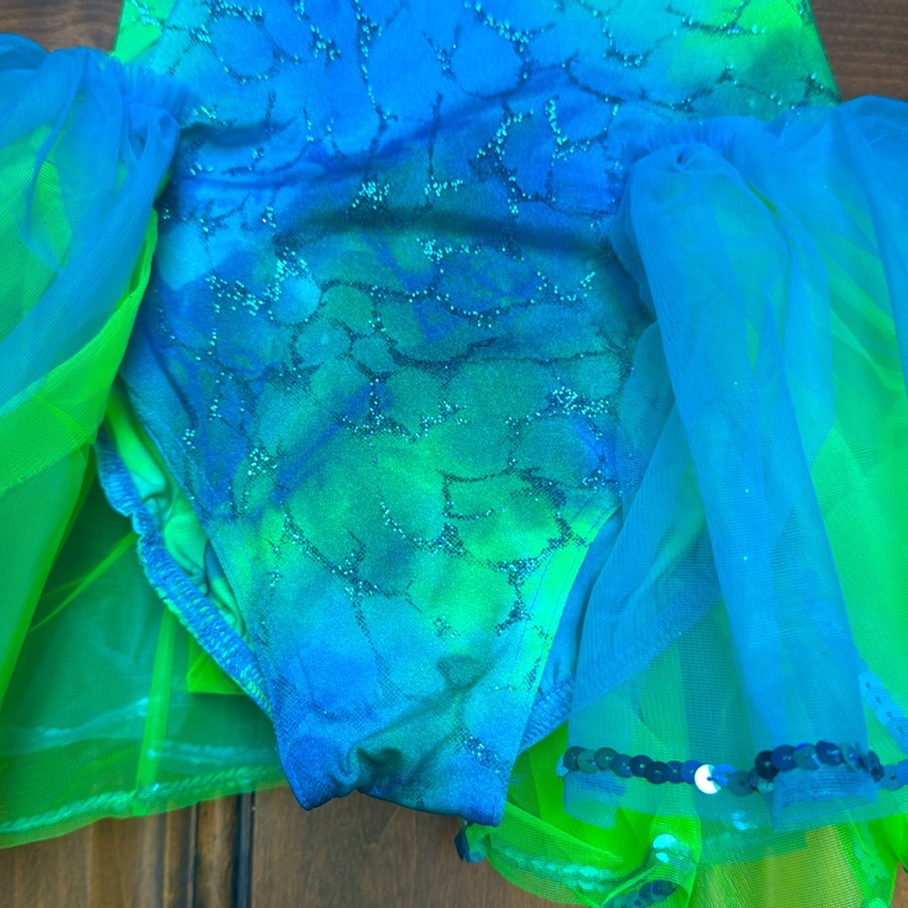 A Wish Come True Blue and Green Kids Dance Costume - Picture 4 of 5